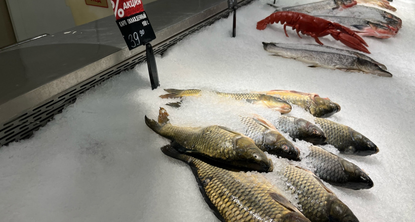 Названа самая полезная рыба: ешьте ее по 3 раза в неделю, богата селеном, фосфором и хороша на вкус