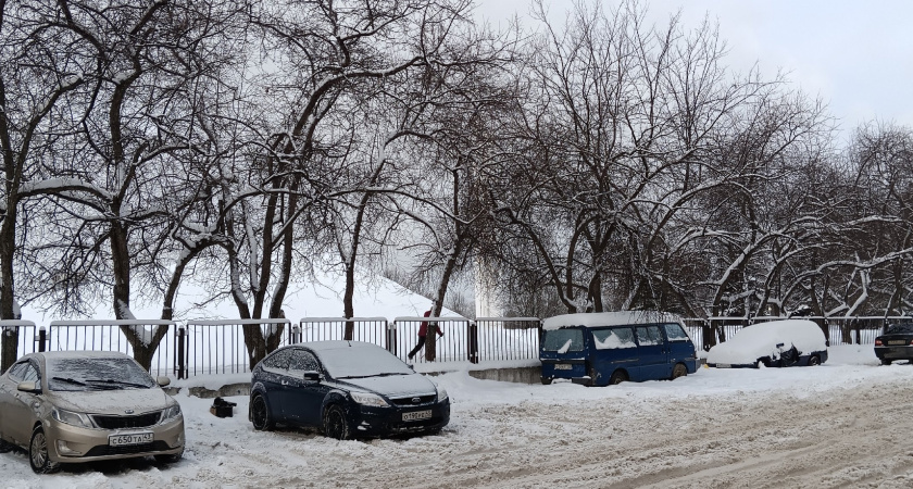 Ждёт погодное безумие: Чем же удивит природа россиян в Новый год — такого давно не бывало