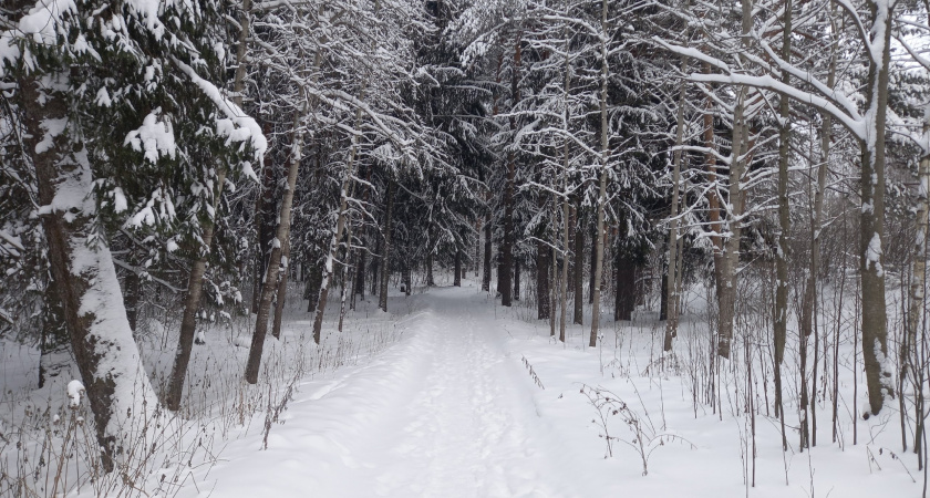 «Информация по январю пугающая». Синоптики предупредили, к чему готовиться россиянам в середине зимы