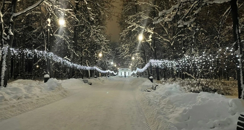 В Костроме 28 и 29 декабря прогнозируется солнце и мокрый снег