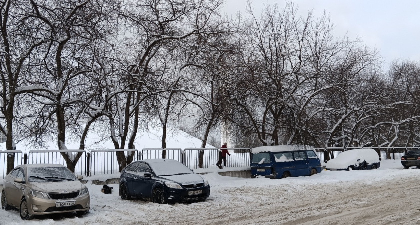 На нашем веку такой странной зимы еще не было: синоптики рассказали, к чему готовиться с 1 января
