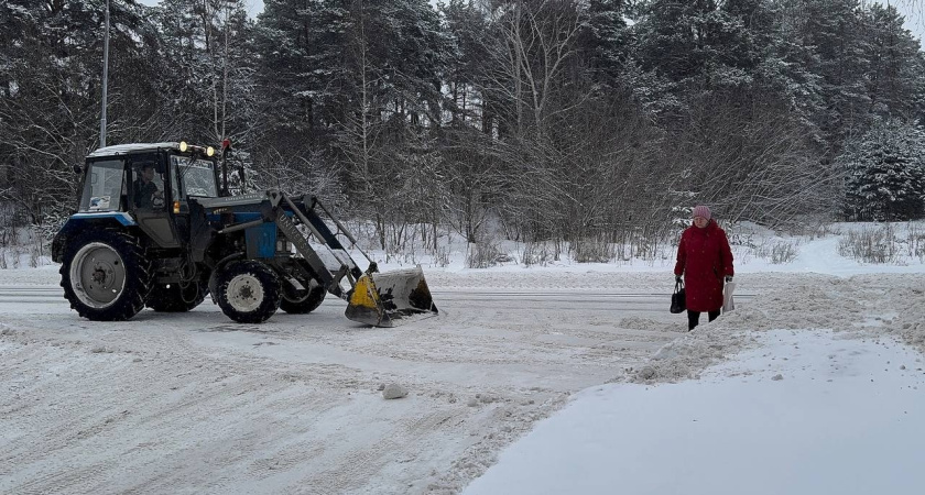 Зима в России полностью отменяется: синоптик Вильфанд рассказал о погоде в январе и феврале
