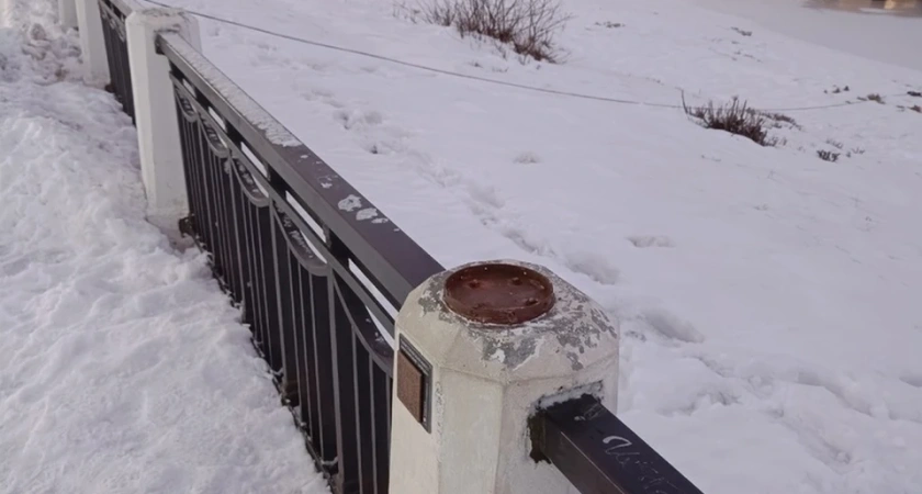 В центр Костромы таинственным образом исчезли три мазайских зайца