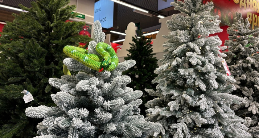 Откроется портал счастья: в жизни этих двух знаков Зодиака начнется солнечная полоса — гороскоп на 2025 год