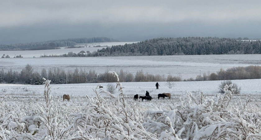 На нашем веку такой зимы еще не было: синоптики рассказали, к чему готовиться с января этого года