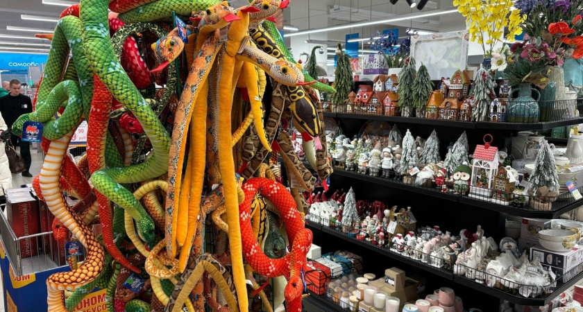 Восстанут из пепла: Василиса Володина назвала знак, которому с 5 января предстоит новый путь, полный счастья