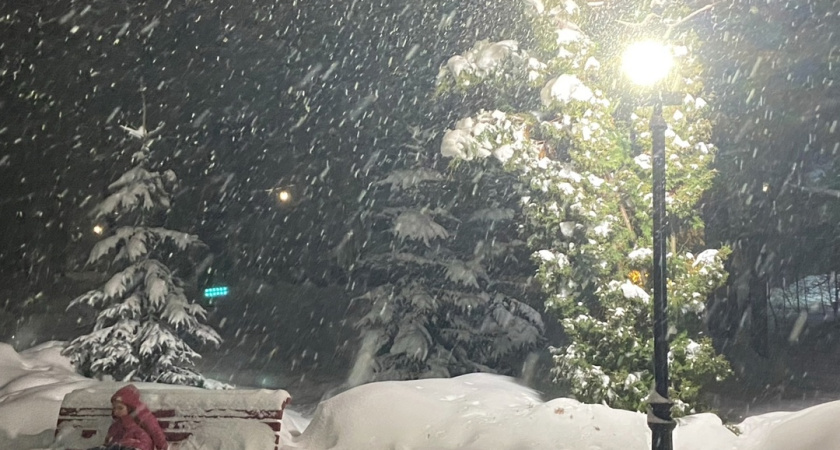 Полный приход весны? Синоптики шокировали россиян аномальной погодой сразу после Рождества