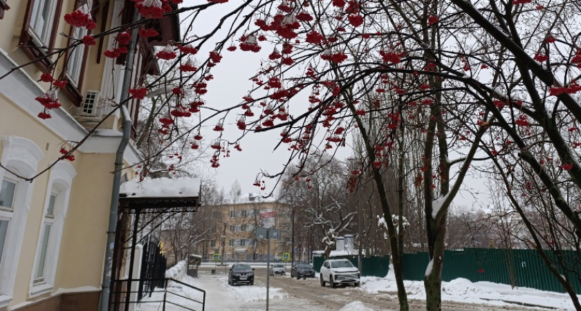 В Кострому возвращаются плюсовые температуры и дождь