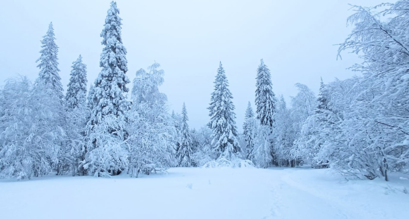 «Февраль и март будут сумасшедшими». Синоптики сказали россиянам, к чему готовиться