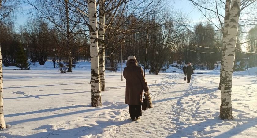 Весна в январе? Синоптики шокировали россиян аномальной погодой сразу после Рождества