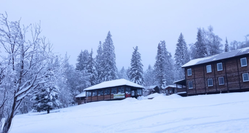 Роман Вильфанд рассказал о погоде на январь и февраль 2025 года: кажется, зима в России полностью отменяется