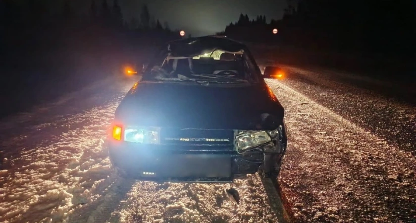 В Костромской области 19-летний юноша на ВАЗе сбил лося