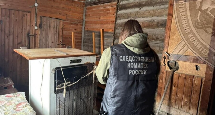 Очень жестоко: появились первые подробности зверского убийства юной костромички в новогоднюю ночь