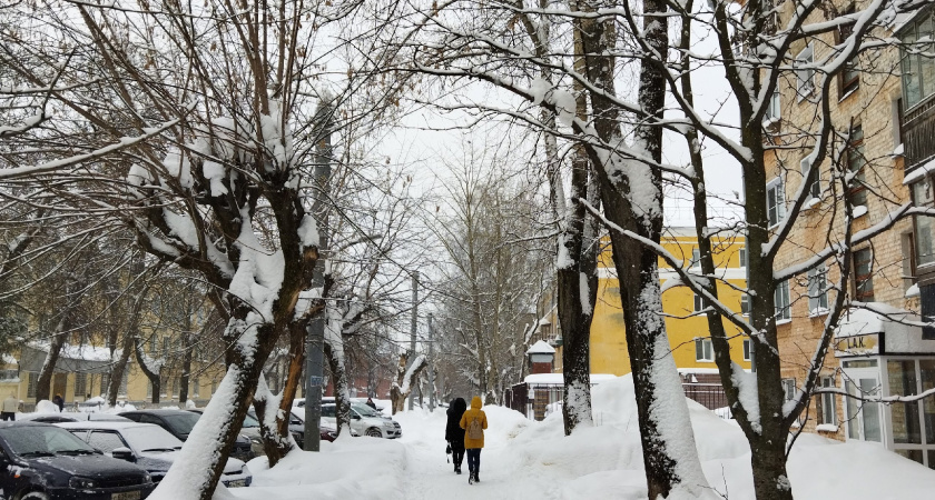 Роман Вильфанд честно рассказал о погоде на январь и февраль: ощущение, что зима в России полностью отменяется