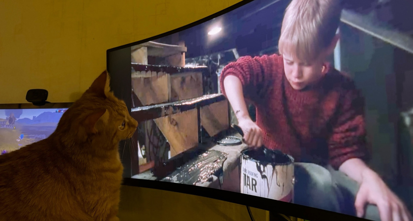 От «Первого номера» до «Один дома»: вот что смотрели жители Костромы в январе