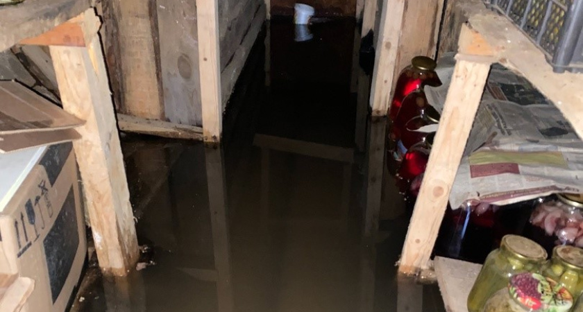 В одном из поселков Костромской области затопило подвалы нескольких домов: урожай гниет не по дням, а по часам