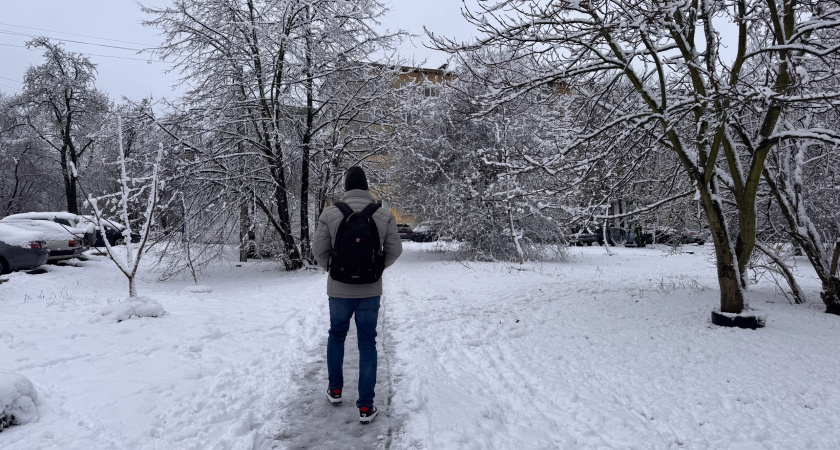 Весна вступает в права: Роман Вильфанд обозначил даты аномальной оттепели