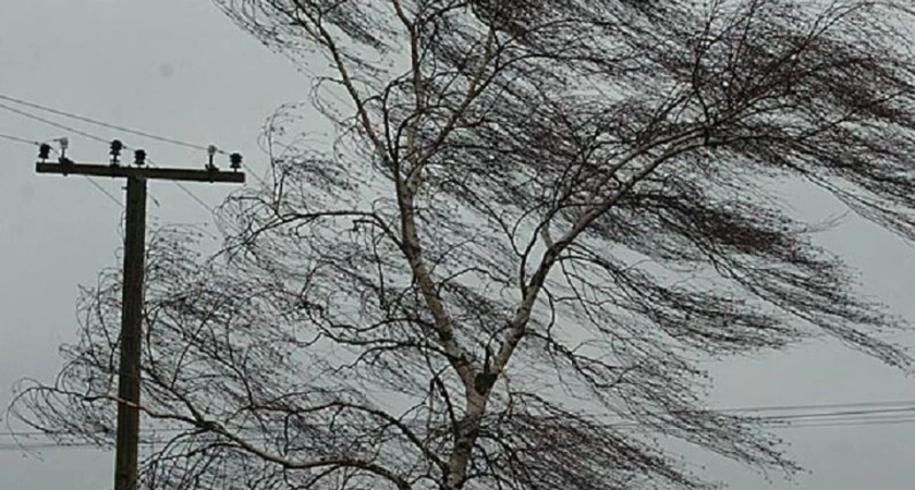 На Костромскую область надвигается штормовой ветер