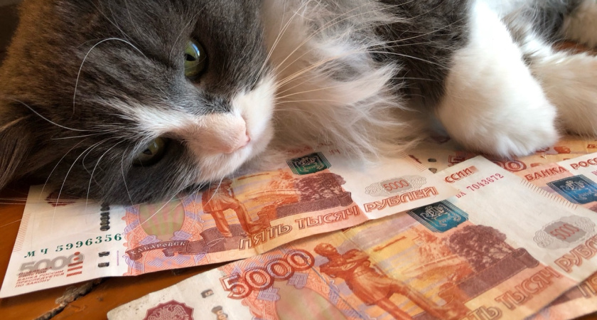 Дело передано в суд: в Костроме предприниматель "замутил" налогов на 64 млн рублей