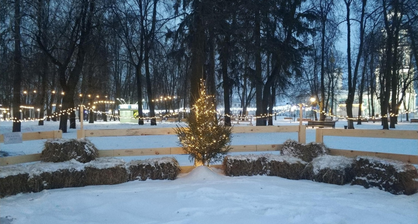 В Костроме в парке "Центральный" открылся долгожданный каток
