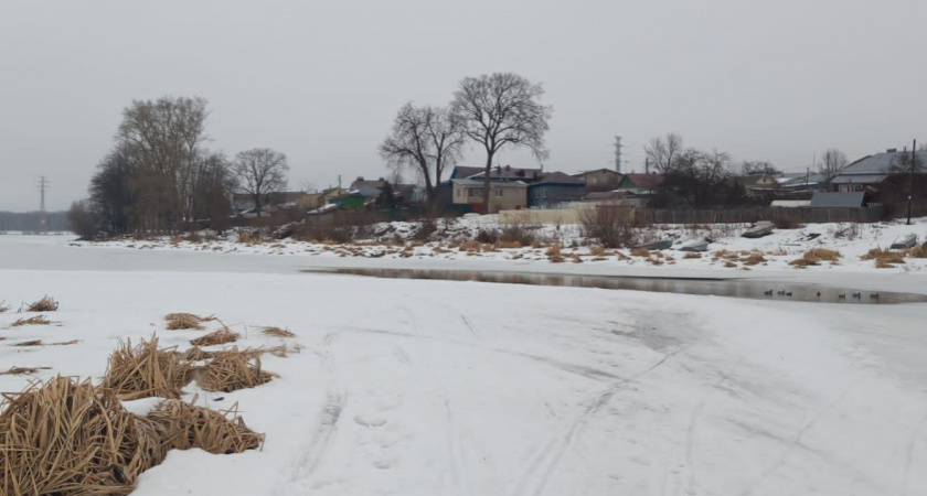 В Костроме восемь человек спасли от гибели на тонком льду