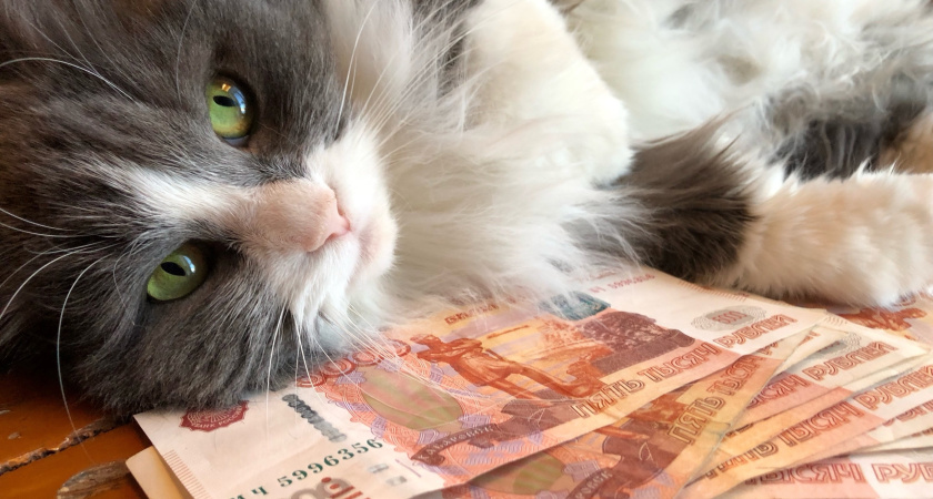 Деньги будут падать с неба проливным дождем: Глоба рассказала, каким знакам в 2025 году можно не работать