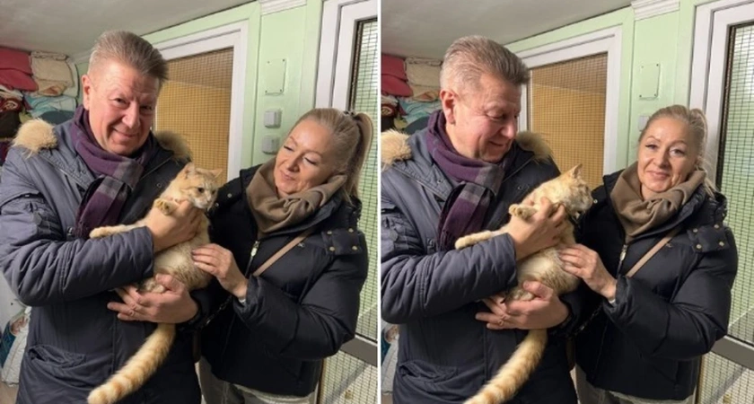 Депутат Госдумы Алексей Ситников приютил из костромского приюта кота Боливара и назвал его Персиком