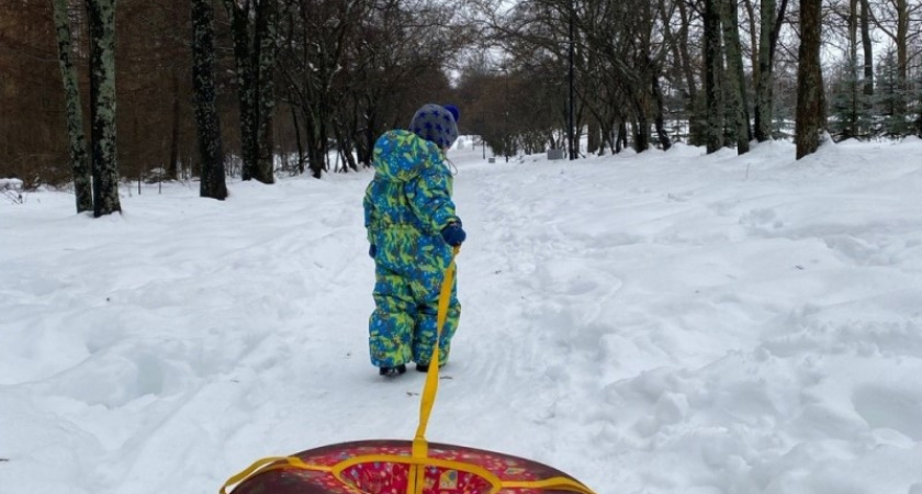 С 1 февраля маткапитал увеличился: сколько теперь будут получать костромские семьи