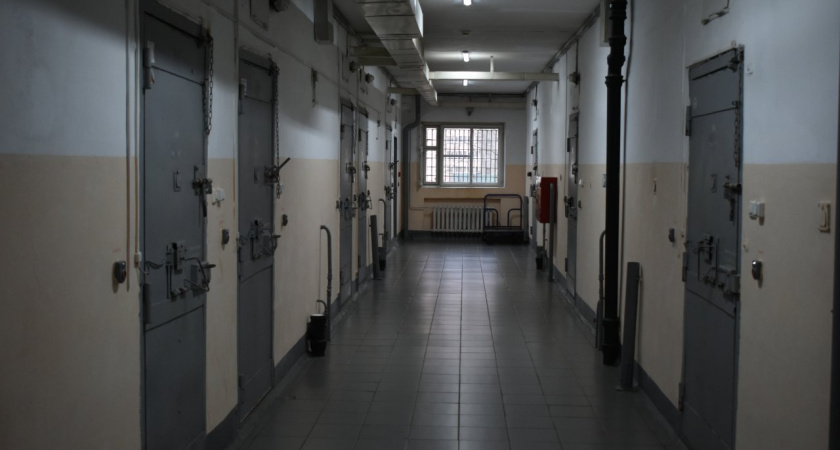 Режиссер Евгения Беркович, которую обвинили в оправдании терроризма, этапирована в костромскую колонию