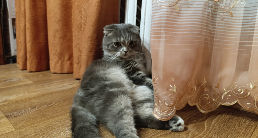 Костромичам рассказали, как изменится порядок оплаты за отопление с 1 марта