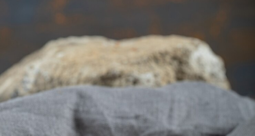 Какие страны заинтересованы импортировать еду из РФ?