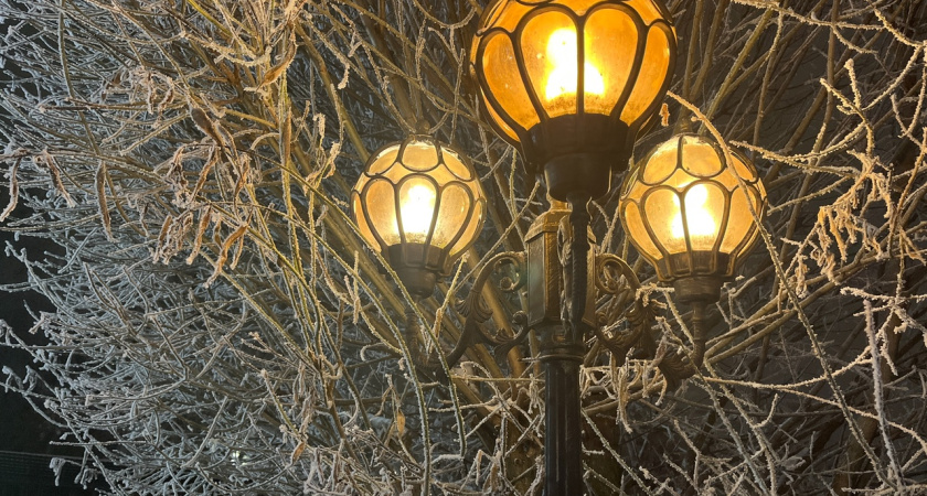 В Костромской области ожидается аномально теплая погода