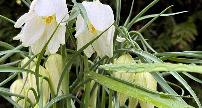 Аномальная жара наступит уже 1 марта: лето придет на два месяца раньше, заявил Вильфанд