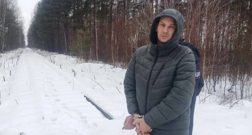 Костромич похитил 24 тонны рельсов под Ярославлем