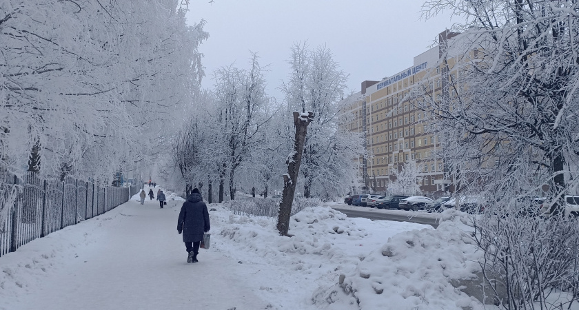 Морозы до -30 и пронизывающие метели: Вильфанд раскрыл прогноз в России 21–26 февраля