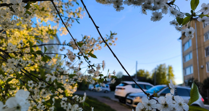 Какие аномалии нас ждут в марте? Синоптики представили прогноз на начало весны - люди в шоке
