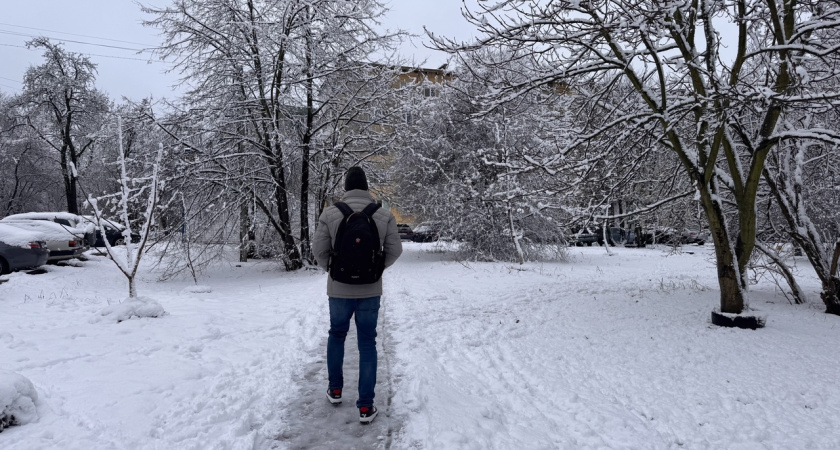 Февраль в Костроме завершится оттепелью и дождями