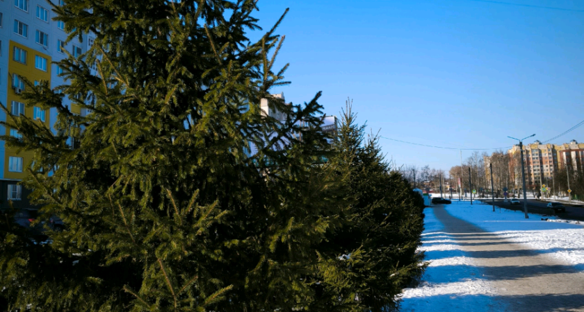 Говорить по телефону почти 2 млн часов – это реально?