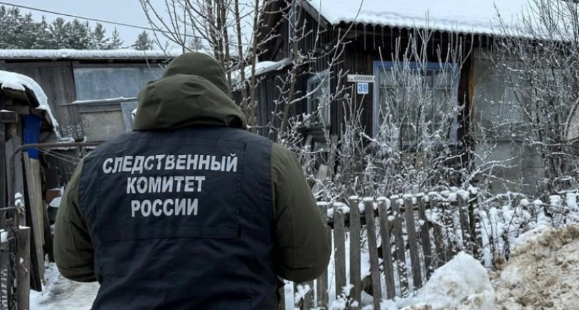 Костромича отправили в колонию строгого режима после нападения на гостя