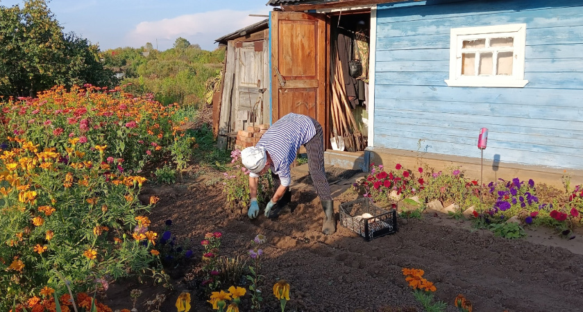 Лунный календарь для дачников: вот когда нужно сажать томаты на рассаду — в марте таких дней будет всего четыре