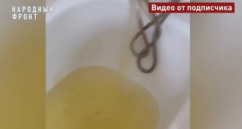 Костромичи пожаловались Владимиру Путину на качество воды из кранов