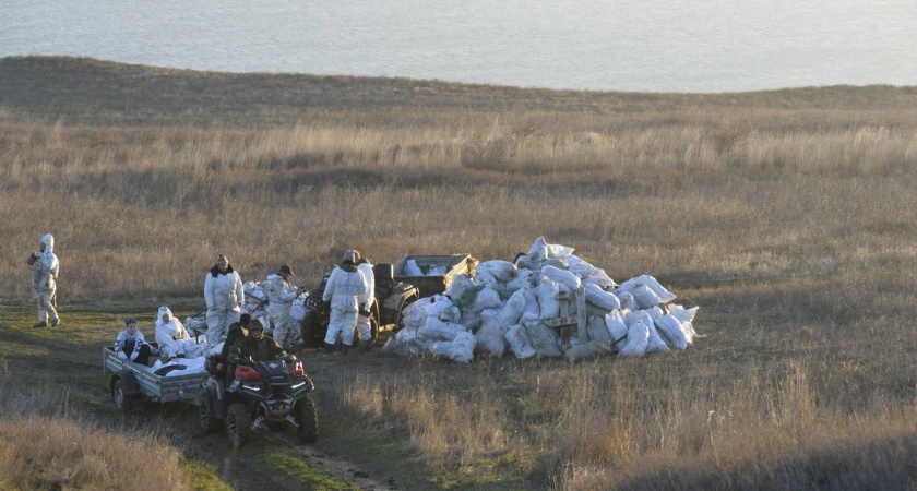 Птичий госпиталь для пострадавших в Керченском проливе пернатых получит финансовую поддержку