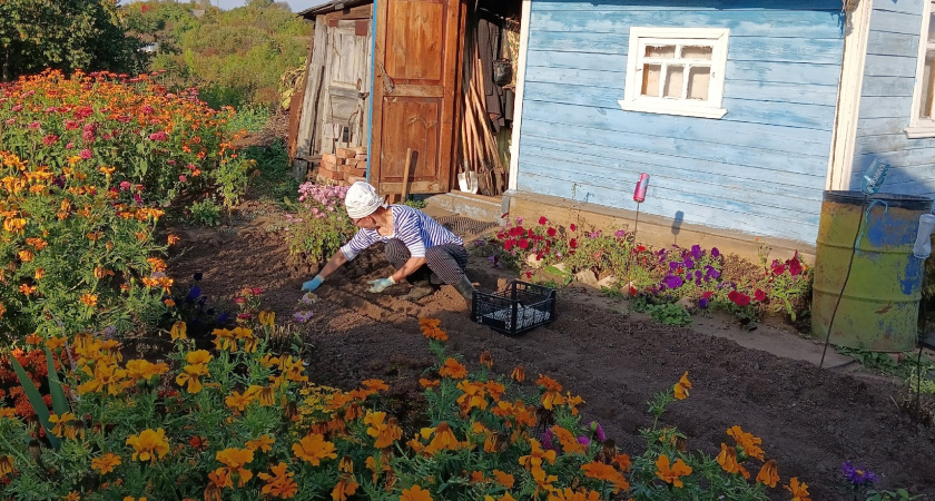 Мартовская аномальная жара сильно изменит сроки урожая: когда лучше сажать помидоры, свеклу и картошку - список дат