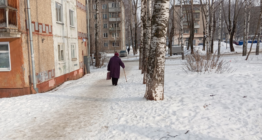 Аномально теплый март, но жутко холодный май. Вильфанд дал прогноз на весну 2025 года