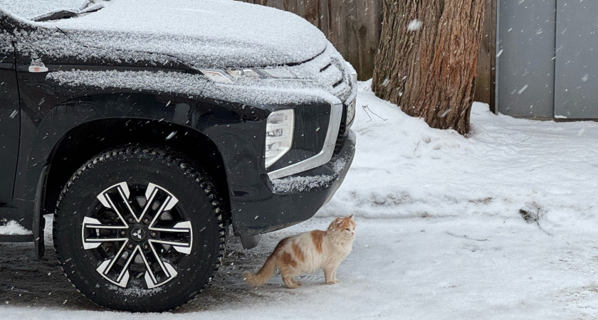 С 10 марта начнут лишать прав на 1,5 года: ГАИ будет искать сразу три категории водителей