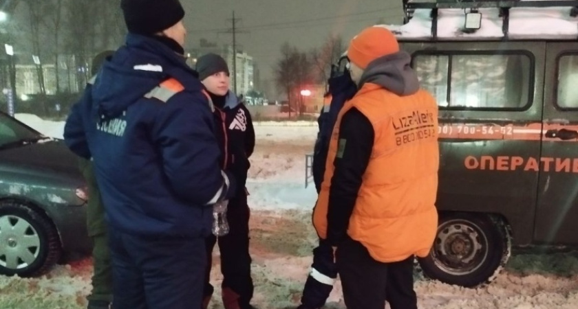 Прошло больше месяца: в Костромской области с конца января не могут найти 60-летнего мужчину, у которого осталось подсобное хозяйство