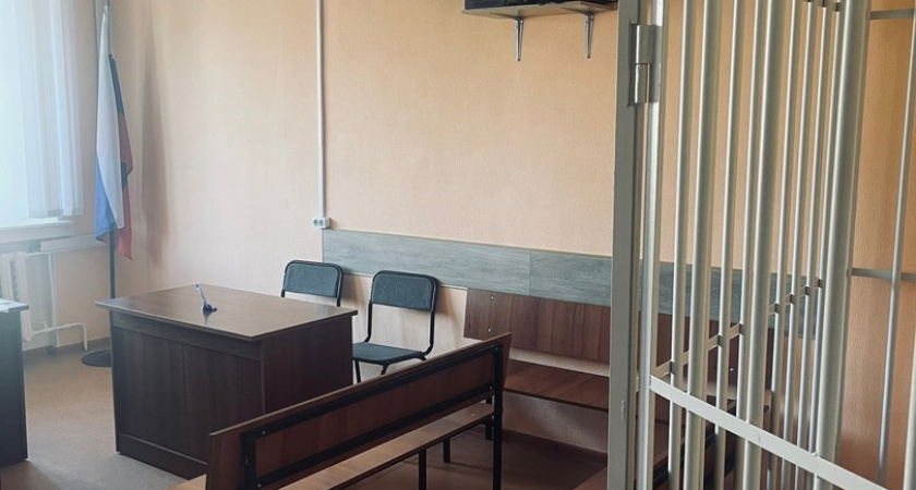 Костромичка получила 2,5 года тюрьмы за смертельное ДТП на пешеходном переходе