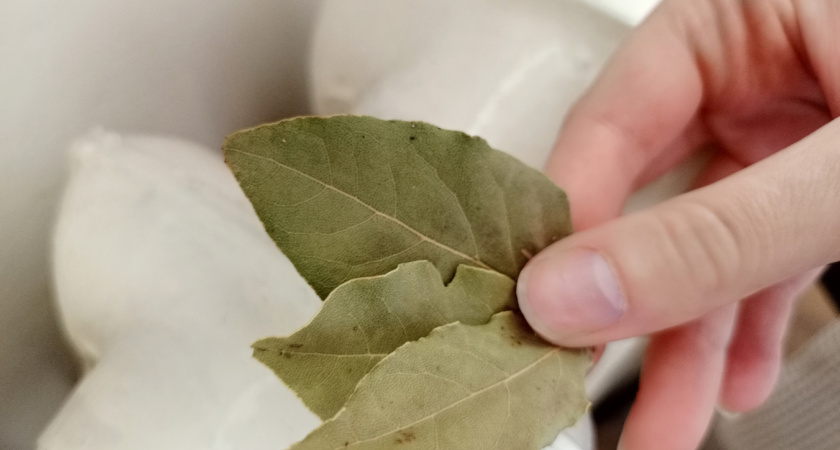 Теперь точно знаю, зачем хозяйки кладут лавровый лист под коврик у входа в дом — вот какая от этого польза