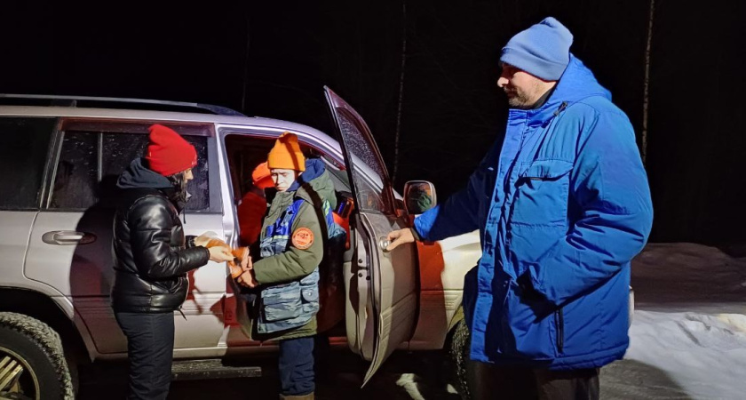 В Костромской области разыскивают пропавшую женщину: нужна помощь добровольцев