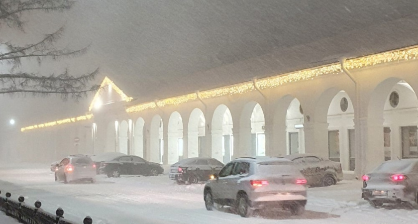 Костромичей ждет теплая неделя: до +9 градусов и дожди